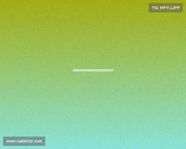 文昌大型体育赛事激情开幕全国健儿齐聚竞技共享运动荣耀